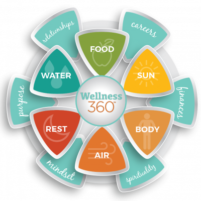 IAWP Wellness 360 Wheelv1